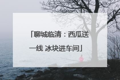 聊城临清：西瓜送一线 冰块进车间