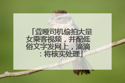 聋哑司机偷拍大量女乘客视频，并配低俗文字发网上，滴滴：将核实处理