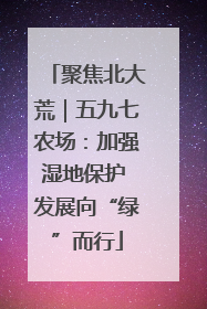 聚焦北大荒｜五九七农场：加强湿地保护 发展向“绿”而行