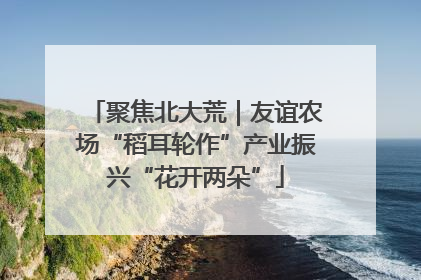 聚焦北大荒｜友谊农场“稻耳轮作”产业振兴“花开两朵”
