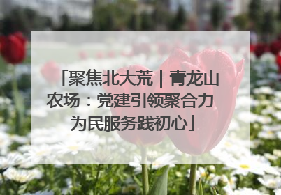 聚焦北大荒｜青龙山农场：党建引领聚合力 为民服务践初心
