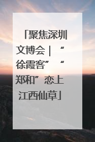 聚焦深圳文博会｜“徐霞客”“郑和”恋上江西仙草