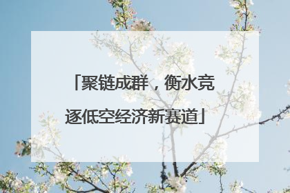 聚链成群，衡水竞逐低空经济新赛道