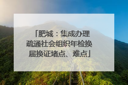 肥城：集成办理 疏通社会组织年检换届换证堵点、难点