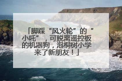 脚踩“风火轮”的“小吒”，可脱离遥控板的机器狗，泡桐树小学来了新朋友！