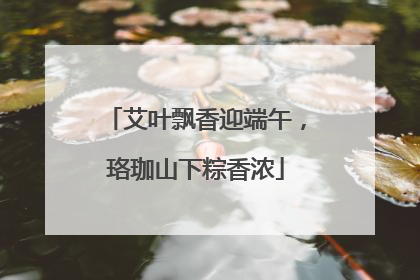 艾叶飘香迎端午，珞珈山下粽香浓