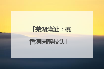 芜湖湾沚：桃香满园醉枝头