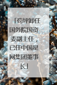 苟坪卸任国务院国资委副主任，已任中国星网集团董事长