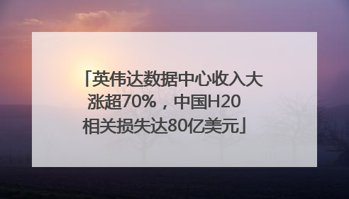 英伟达数据中心收入大涨超70%，中国H20相关损失达80亿美元