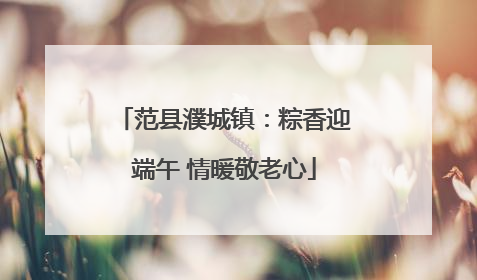 范县濮城镇：粽香迎端午 情暖敬老心