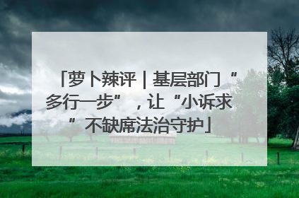 萝卜辣评｜基层部门“多行一步”，让“小诉求”不缺席法治守护