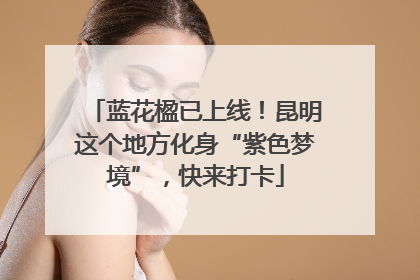 蓝花楹已上线！昆明这个地方化身“紫色梦境”，快来打卡