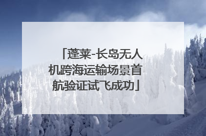 蓬莱-长岛无人机跨海运输场景首航验证试飞成功