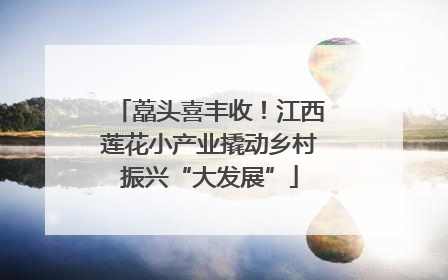 藠头喜丰收！江西莲花小产业撬动乡村振兴“大发展”
