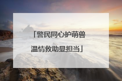 警民同心护萌兽 温情救助显担当