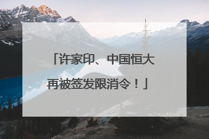 许家印、中国恒大再被签发限消令！