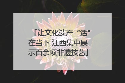 让文化遗产“活”在当下 江西集中展示百余项非遗技艺
