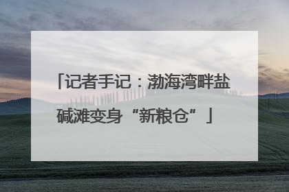 记者手记：渤海湾畔盐碱滩变身“新粮仓”