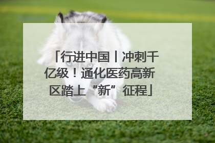行进中国丨冲刺千亿级！通化医药高新区踏上“新”征程