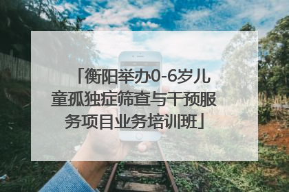 衡阳举办0-6岁儿童孤独症筛查与干预服务项目业务培训班