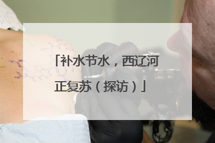 补水节水，西辽河正复苏（探访）