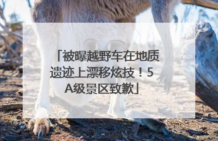 被曝越野车在地质遗迹上漂移炫技！5A级景区致歉