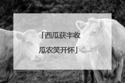 西瓜获丰收 瓜农笑开怀