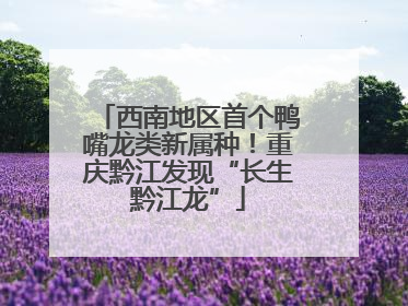 西南地区首个鸭嘴龙类新属种！重庆黔江发现“长生黔江龙”