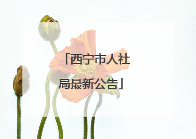 西宁市人社局最新公告