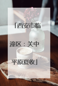 西安市临潼区：关中平原夏收