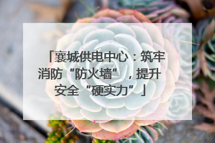 襄城供电中心：筑牢消防“防火墙”，提升安全“硬实力”