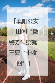 襄阳公安：田间“微警务”绘就三夏“丰收图”
