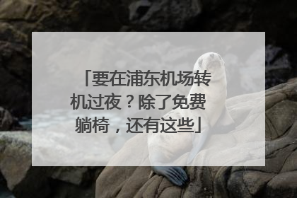 要在浦东机场转机过夜？除了免费躺椅，还有这些