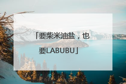 要柴米油盐，也要LABUBU