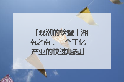 观潮的螃蟹丨湘南之南，一个千亿产业的快速崛起