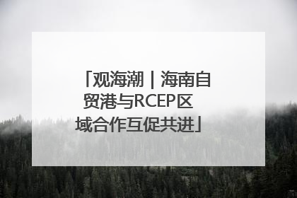 观海潮｜海南自贸港与RCEP区域合作互促共进