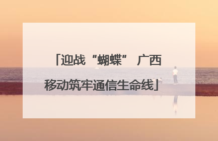 迎战“蝴蝶” 广西移动筑牢通信生命线