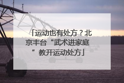 运动也有处方？北京丰台“武术进家庭”教开运动处方