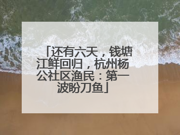还有六天，钱塘江鲜回归，杭州杨公社区渔民：第一波盼刀鱼