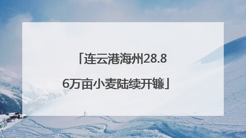 连云港海州28.86万亩小麦陆续开镰