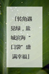 转角遇见绿，盐城滨海“口袋”盛满幸福