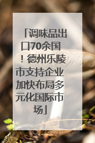 调味品出口70余国！德州乐陵市支持企业加快布局多元化国际市场