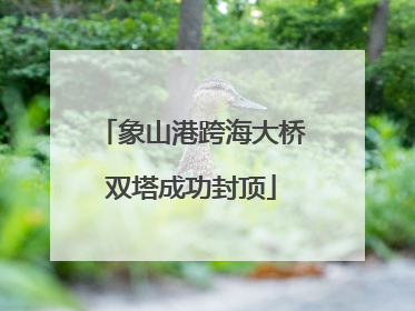 象山港跨海大桥双塔成功封顶
