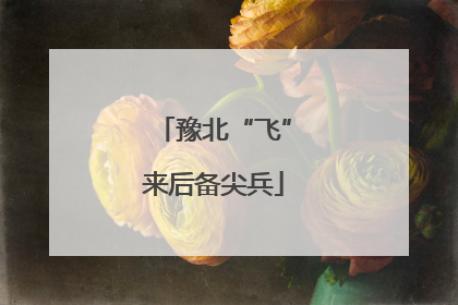 豫北“飞”来后备尖兵
