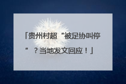 贵州村超“被足协叫停”？当地发文回应！