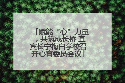 赋能“心”力量，共筑成长桥 宜宾长宁梅白学校召开心育委员会议