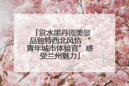 赏水墨丹霞美景 品独特西北风情 “青年城市体验官”感受兰州魅力