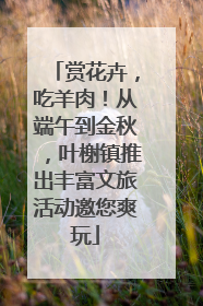 赏花卉，吃羊肉！从端午到金秋，叶榭镇推出丰富文旅活动邀您爽玩