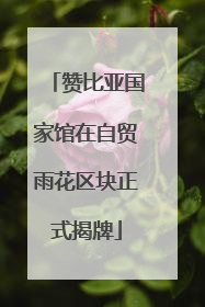 赞比亚国家馆在自贸雨花区块正式揭牌