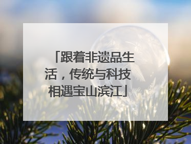 跟着非遗品生活，传统与科技相遇宝山滨江